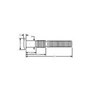 C50L30-BR20-12GA Truss Head Huck Bolt, 5/8″ Dia.