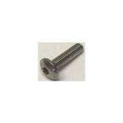 Torx Truss Head Rail Bolt, 3/8-16″ x -1/4″